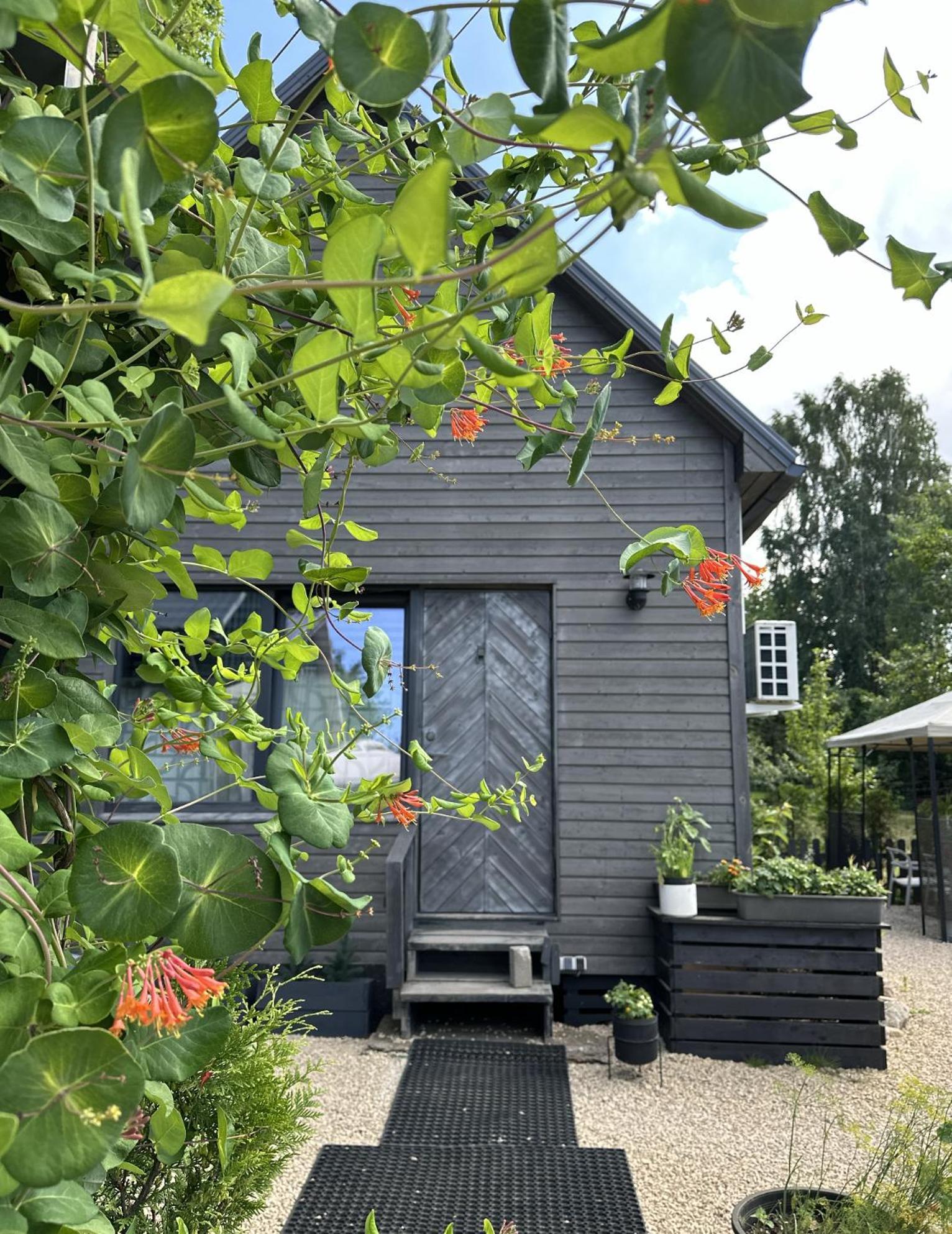 فيلا Amazing Little House On An Island With Garden ريغا المظهر الخارجي الصورة